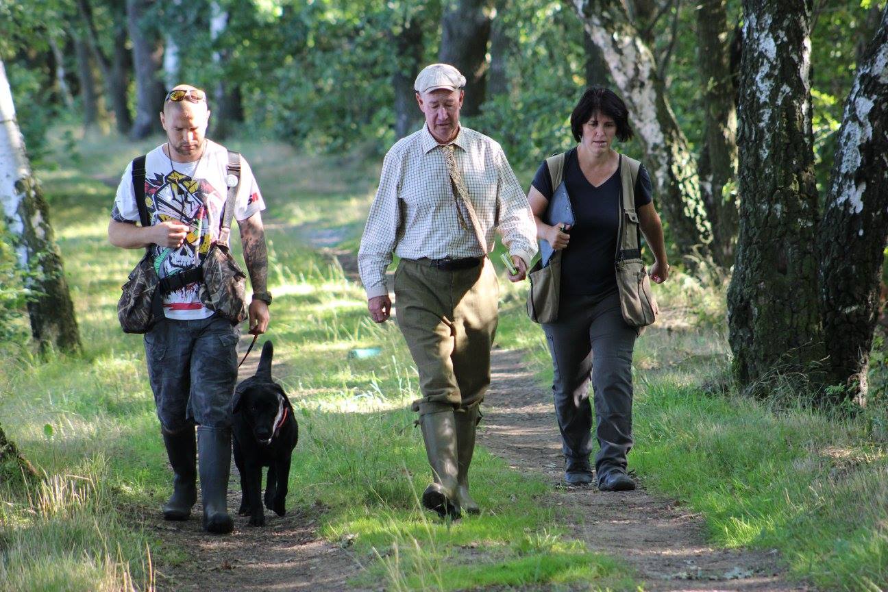 Gundog Judging Wales