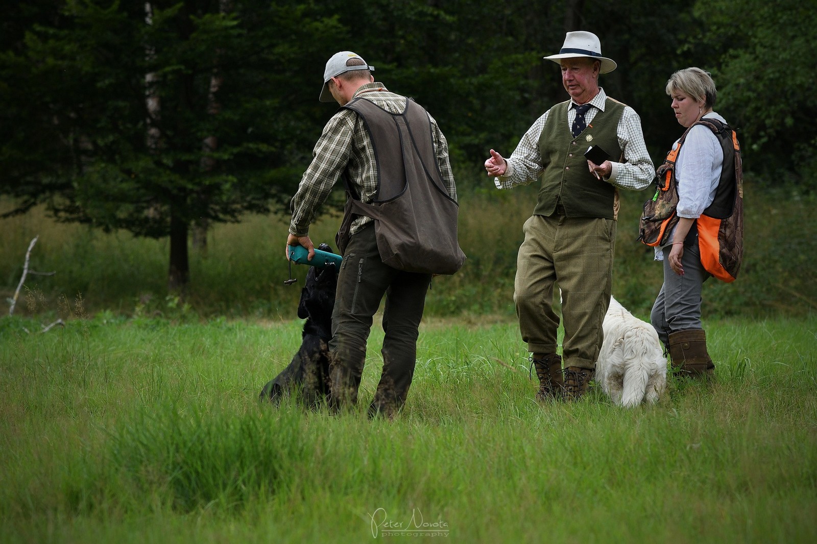 Gundog Judging Wales - 3